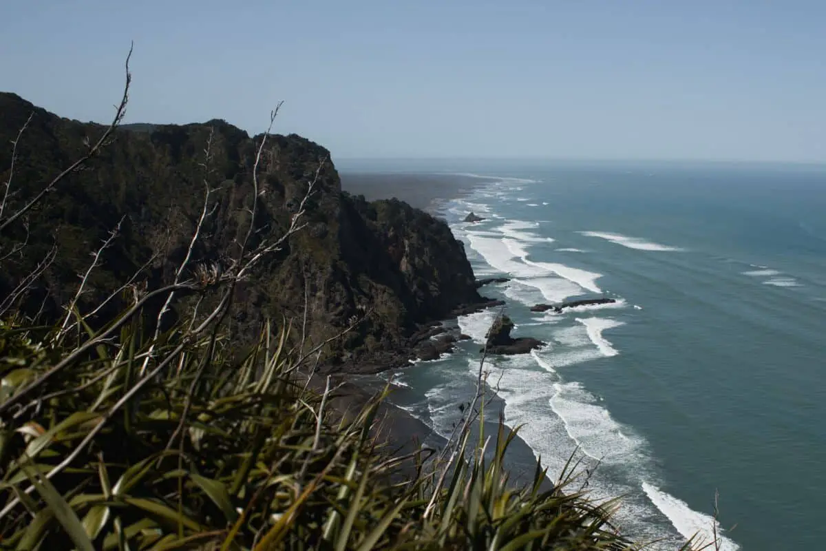 Hiking Mercer Bay Loop Track | West Auckland · LoveYaGuts